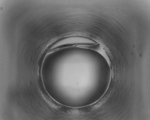 X0000084600253200703021633