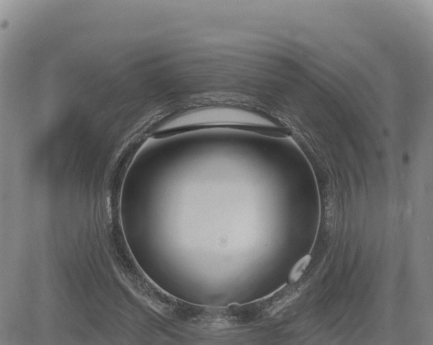 X0000084600254200703021634