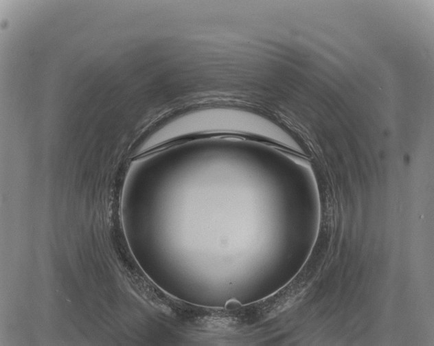 X0000084600255200703021634