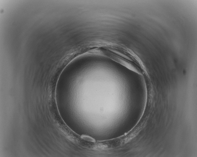 X0000084600257200703021634