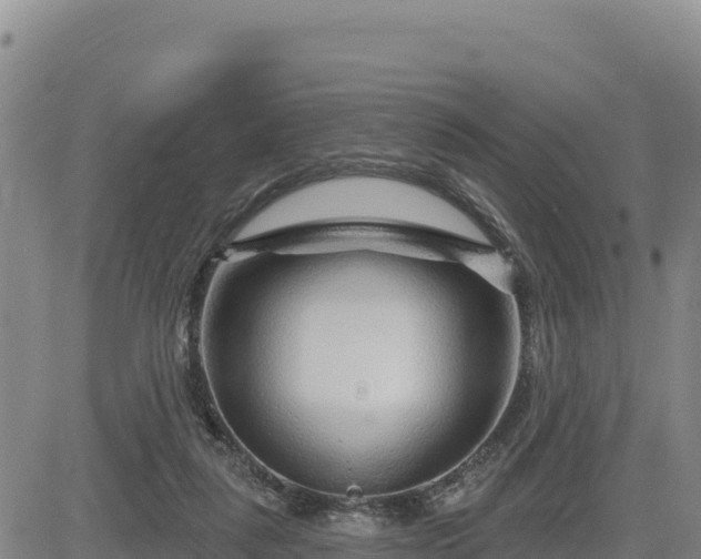 X0000084600259200703021634