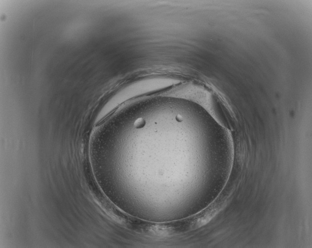 X0000084600261200703021634