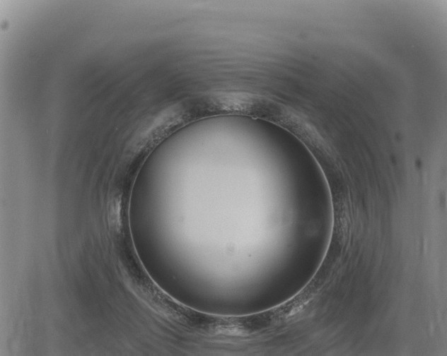 X0000084600262200703021634