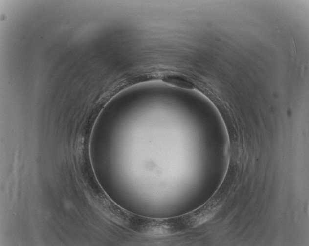 X0000084600263200703021634