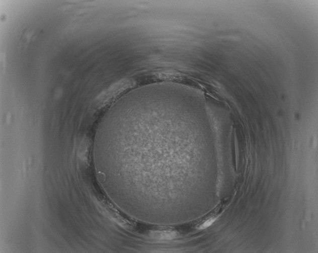 X0000084600266200703021634