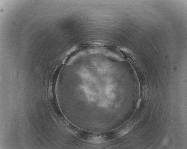 X0000084600267200703021634