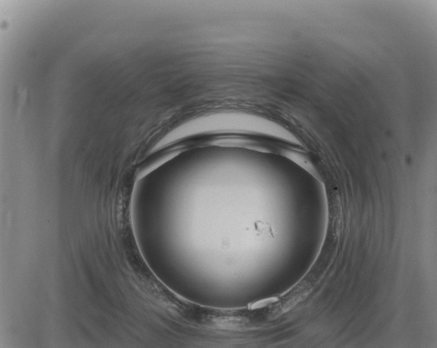 X0000084600268200703021634