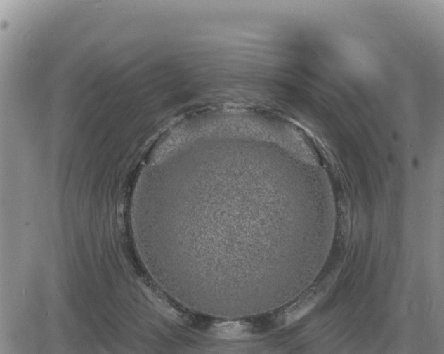 X0000084600269200703021634