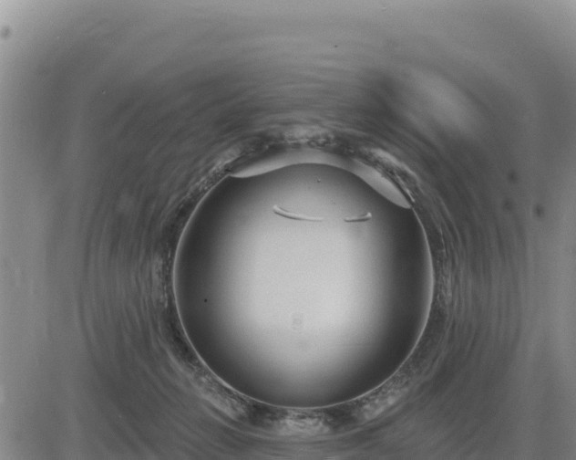 X0000084600270200703021634