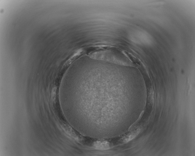 X0000084600271200703021634