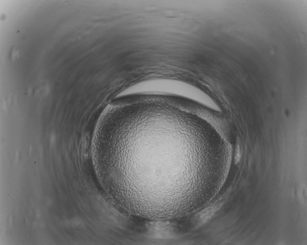 X0000084600273200703021634