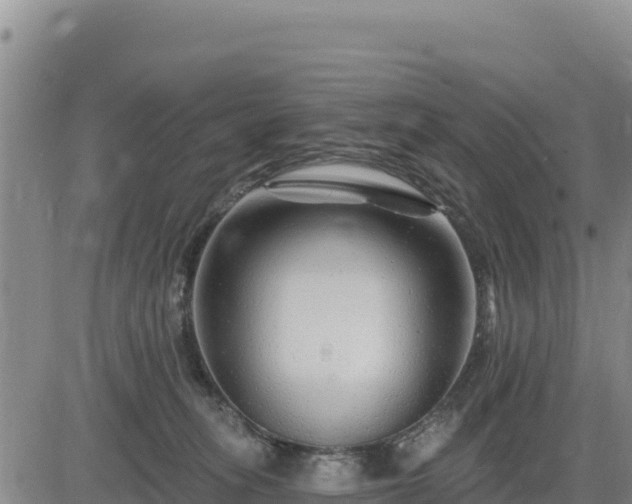 X0000084600275200703021634