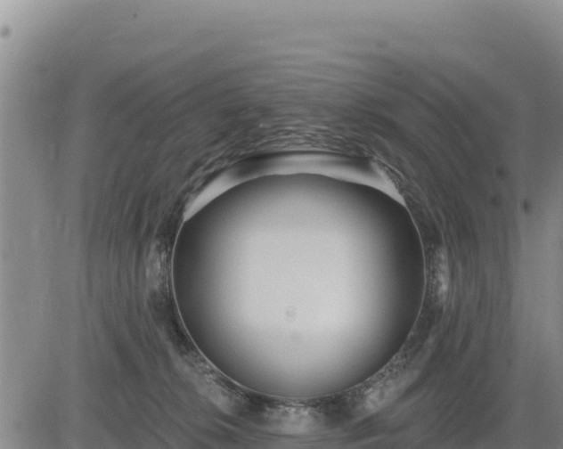 X0000084600276200703021634