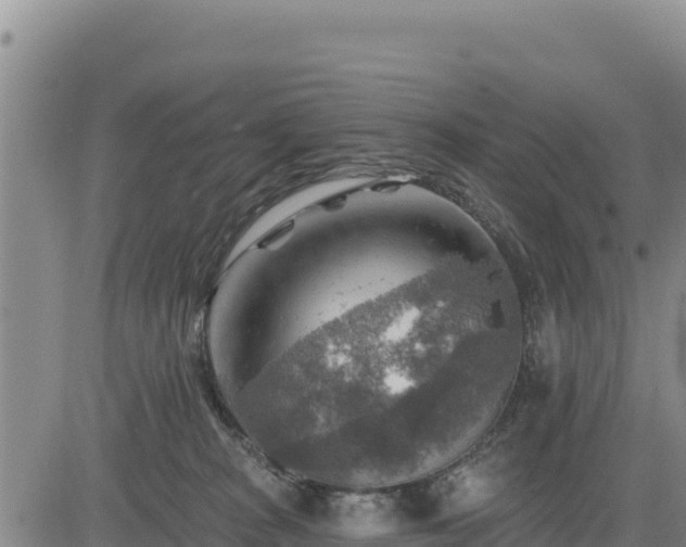 X0000084600277200703021634