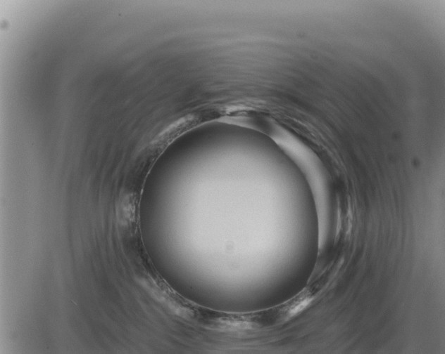 X0000084600284200703021634