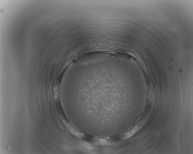 X0000084600285200703021634