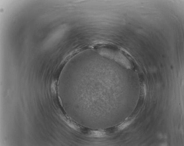 X0000084600286200703021634