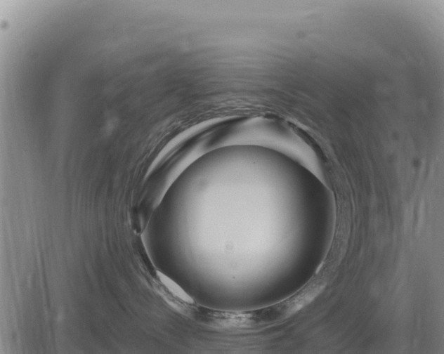 X0000084600288200703021634