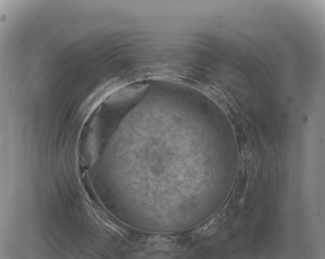 X0000084600290200703021633