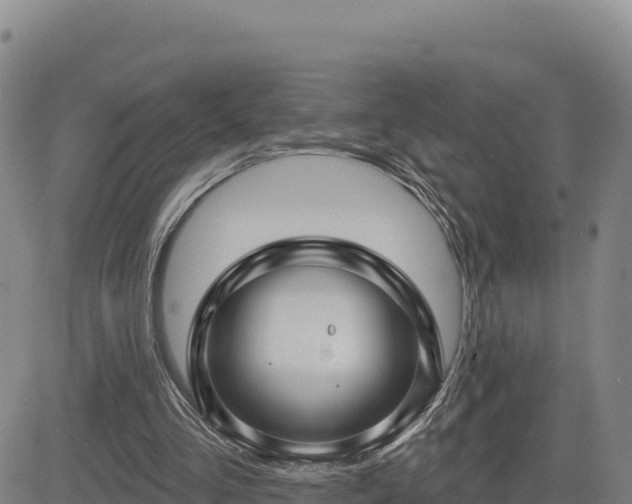 X0000084600293200703021633