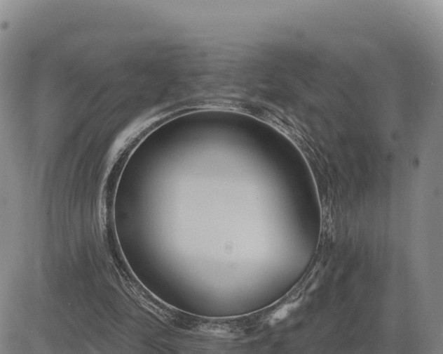 X0000084600294200703021633