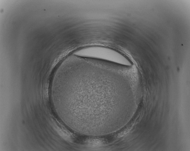 X0000084600299200703021633