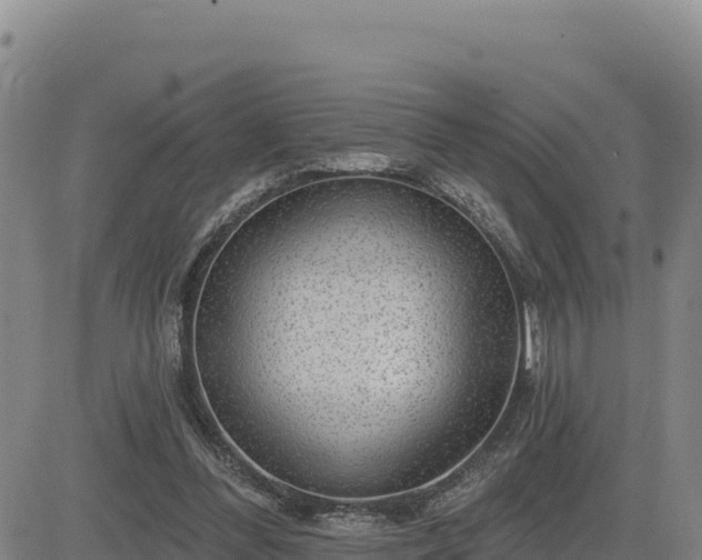 X0000084600300200703021633