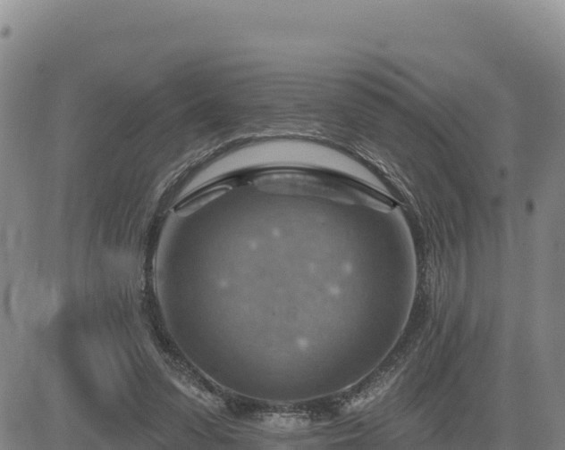 X0000084600303200703021633