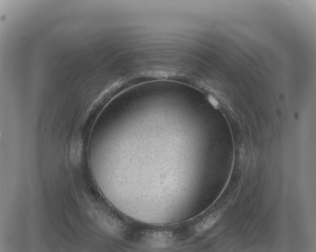 X0000084600304200703021633