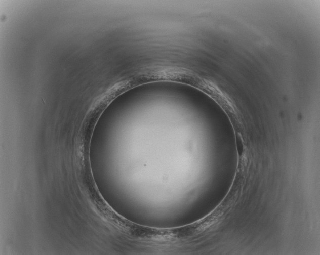 X0000084600306200703021633