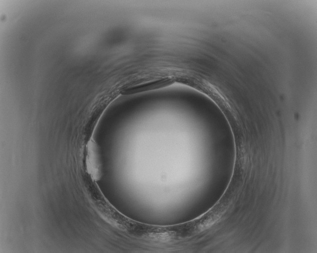 X0000084600307200703021633