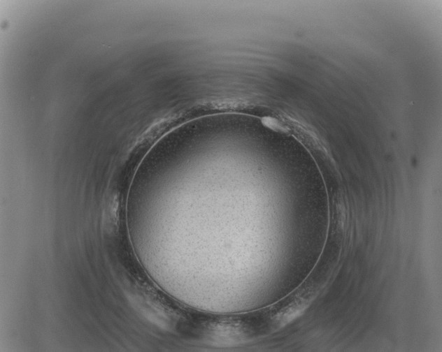 X0000084600308200703021633