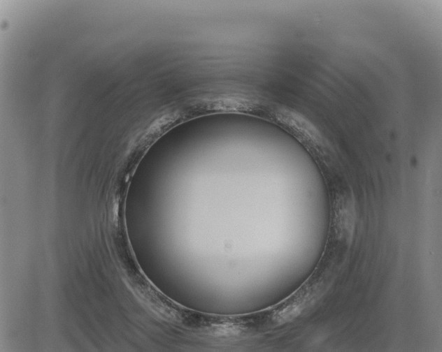 X0000084600310200703021633