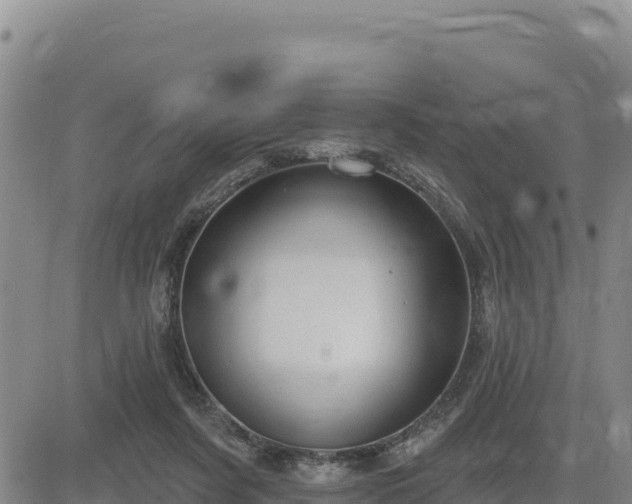 X0000084600311200703021633