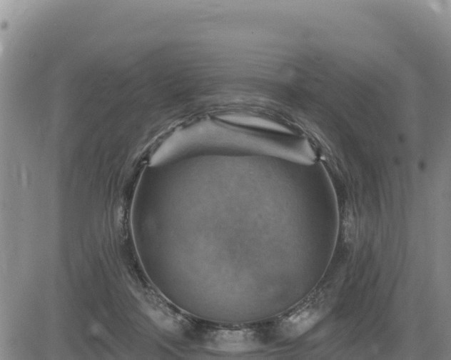 X0000084600314200703021633