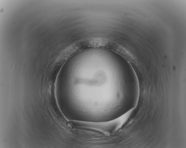 X0000084600315200703021633