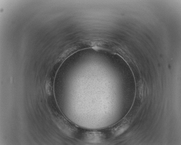 X0000084600316200703021633