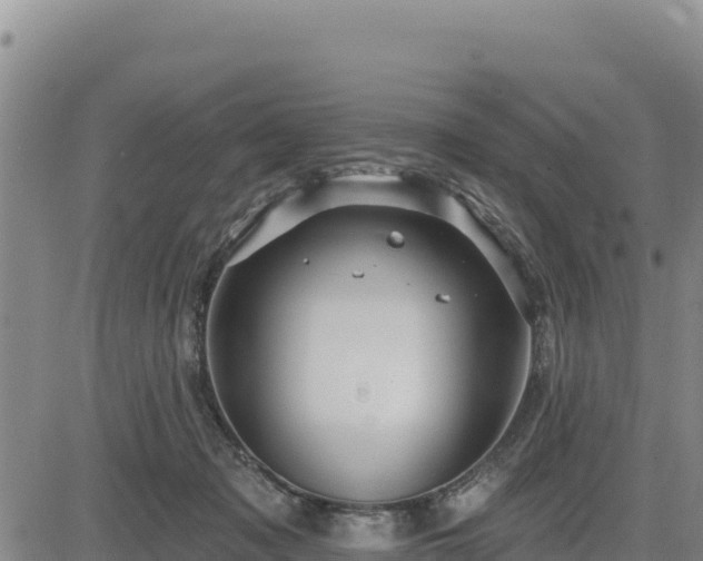 X0000084600317200703021633