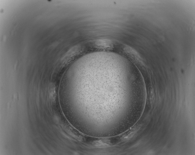 X0000084600320200703021633