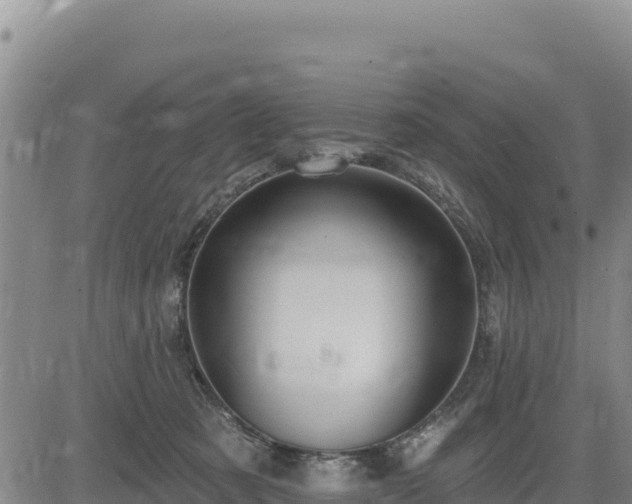 X0000084600321200703021633