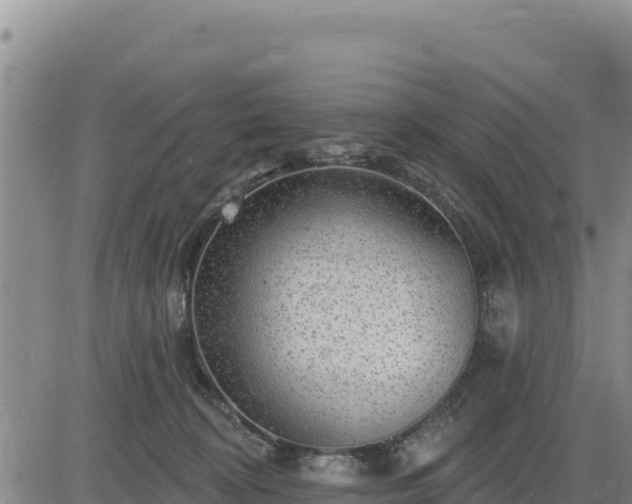 X0000084600324200703021633