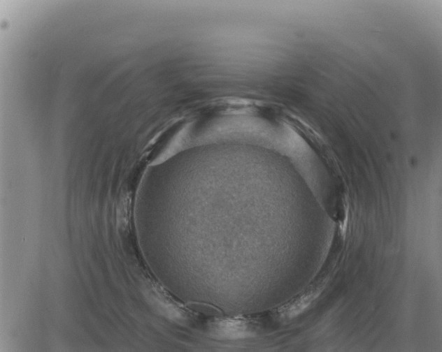 X0000084600325200703021633