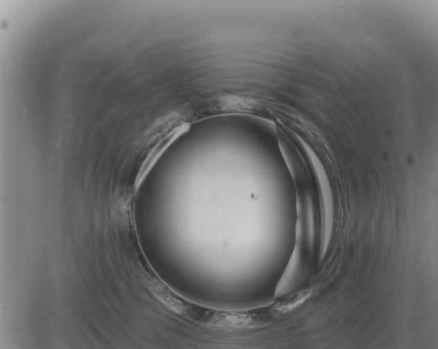 X0000084600329200703021633