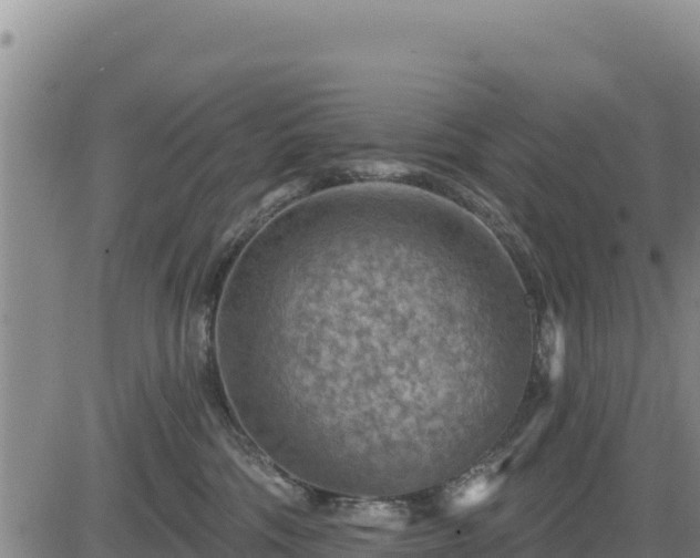 X0000084600330200703021632