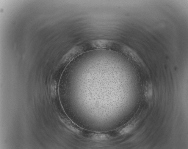 X0000084600332200703021632