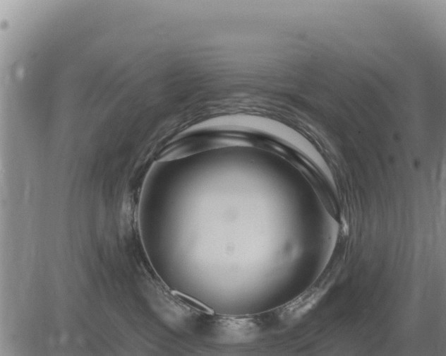 X0000084600333200703021632