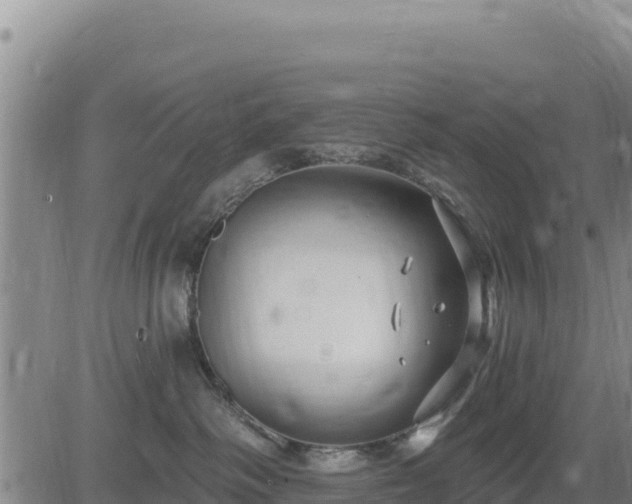 X0000084600334200703021632