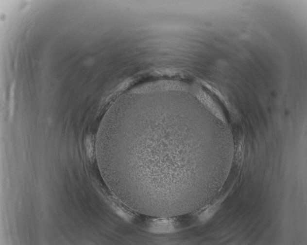 X0000084600335200703021632