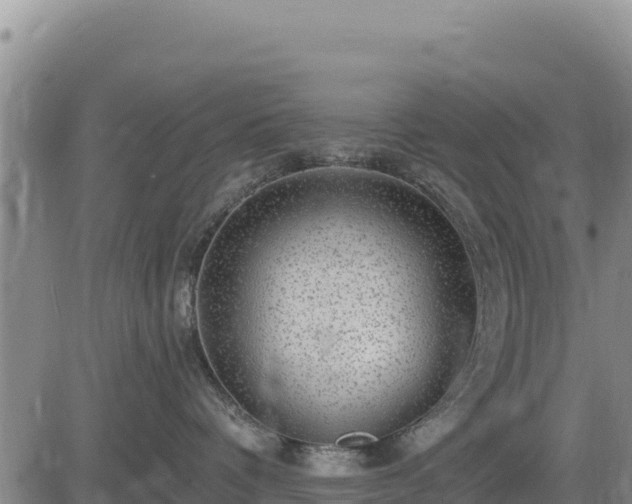 X0000084600336200703021632