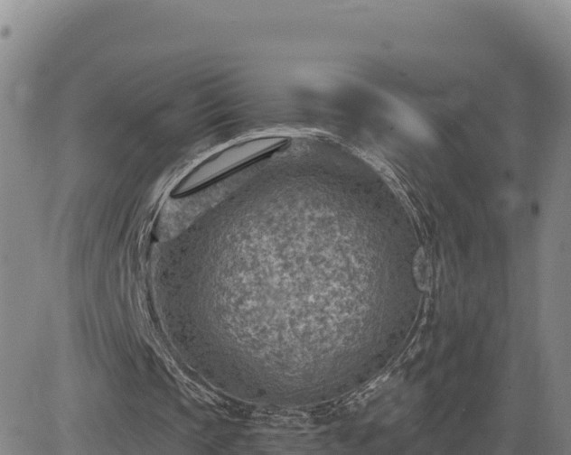 X0000084600337200703021632